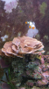 20150410_180949.png