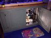 ImageUploadedByTapatalk1433043015.680277.jpg