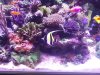 rps20160204_132054.jpg