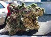 rock-2.jpg