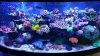 rps20160312_133515.jpg