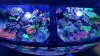 rps20151112_101307.jpg