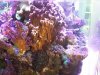 rps20170114_234310.jpg