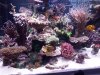 rps20170115_165231.jpg
