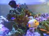 IMG_20170819_163942.jpg