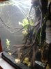 20170909_233338.jpg