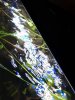 20170909_233321.jpg