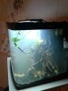 20170915_142659.jpg