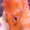 DSC07669.JPG