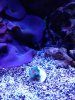 IMG_20171206_154352427.jpg