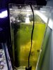 20180104_162108_resized.jpg