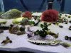 20180104_162133_resized.jpg