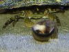 20180104_162219_resized.jpg