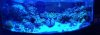 4D82FE0A-5035-451A-8BED-C96A309F4B7E.jpeg