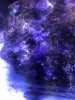 A49561FF-6A96-413E-9CA6-5D36326A65B9.jpeg