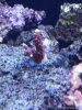 IMG_20180301_222445.jpg