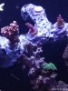 IMG_20180301_222428.jpg