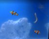 blenny1.JPG