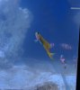 blenny3.JPG