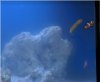 blenny4.JPG