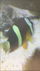 image1.png