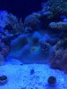 IMG_1966.JPG