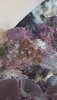 20180410_093626.jpg