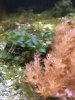 029414CC-DB68-46DE-AFA2-4C2C22E60136.jpeg