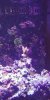 20180422_171245.jpg