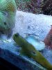 20180516_161334.jpg