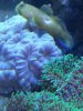 20180519_185150.jpg