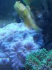 20180519_185157.jpg