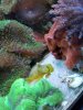 20180521_163007.jpg