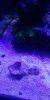 20180708_192725_HDR.jpg