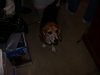 DSCN2099.JPG