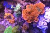 972F0588-6DE5-466F-911B-1C7D87A71E87.jpeg