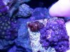 20181020_091932.jpg