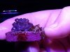 20181020_091959.jpg