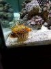 20181026_173533.jpg