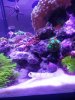 20181106_152308.jpg