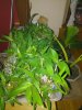 IMG_20181109_185743.jpg
