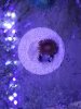 20181203_150358.jpg
