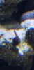 20190212_151244.jpg