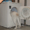 bunsenburner