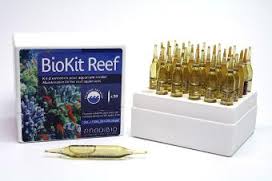 BioKit Reef.jpg
