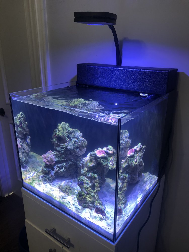 inTank FILTRATION COVER FOR WATERBOX CUBE 10