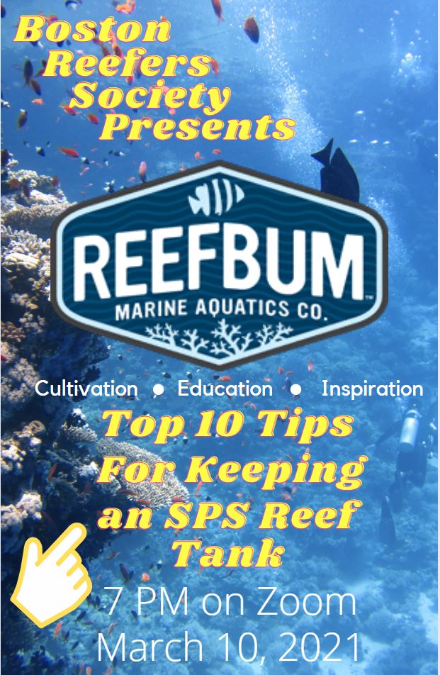 ReefBum Flyer.JPG