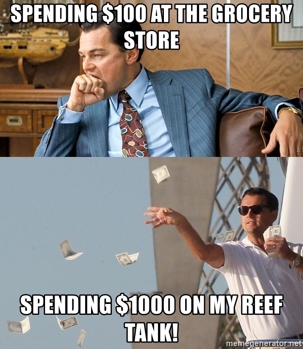 spending-100-at-the-grocery-store-spending-1000-on-my-reef-tank.jpg